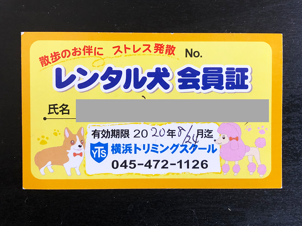 新横浜 レンタル犬 1時間500円 ペットがレンタルできるお店に行ってみた Aminome Lab